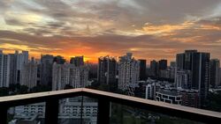 Irwell Hill Residences (D9), Apartment #580301891